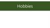 Hobbies. Conversation topics