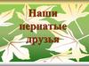 Наши пернатые друзья. Загадки для дошкольников