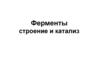 Ферменты строение и катализ. Тема 6