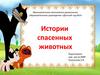 Истории спасенных животных