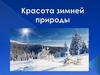 Красота зимней природы