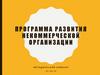 Программа развития некоммерческой организации. Школа лидеров НКО Северодвинска