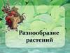 Разнообразие растений