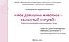 Мое домашнее животное - волнистый попугай