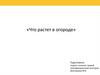 Что растет в огороде. (Игры на развитие внимания и мышления)