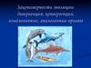 Закономерности эволюции: дивергенция, конвергенция, гомологичные, аналогичные органы