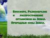 Биосфера. Разнообразие и распространение Земле. Природные зоны Земли