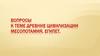 Вопросы к теме  "Древние цивилизации. Месопотамия, Египет."