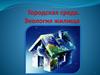 Городская среда. Экология жилища