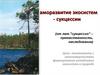 Саморазвитие экосистем - сукцессии