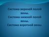Система верхней полой вены. Система нижней полой вены. Система воротной вены