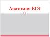 Анатомия к ЕГЭ