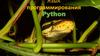 Язык программирования Python