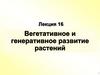 Вегетативное и генеративное развитие растений. Лекция 16
