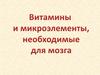 Витамины и микроэлементы необходимые для работы мозга