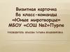 Команда «Юные миротворцы», МБОУ Средняя общеобразовательная школа №2 п. Пурпе