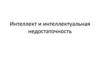 Интеллект и интеллектуальная недостаточность