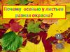 Почему осенью листья разноцветные