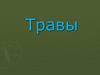Травы