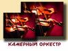 Камерный оркестр