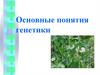 Основные понятия генетики