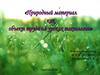 Природный материал как объект труда на уроках технологии