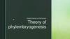 Theory of phylembryogenesis