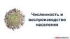 Численность и воспроизводство населения