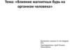 Влияние магнитных бурь на организм человека
