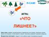 Игра: «Что лишнее?»