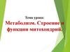 Метаболизм. Строение и функции митохондрий