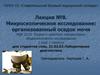 Элементы организованного осадка мочи. Лекция № 8