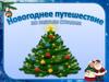 Новогоднее путешествие по разным странам