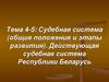 Судебная система (общие положения и этапы развития). Действующая судебная система Республики Беларусь. Тема 4-5