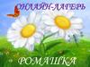 Онлайн лагерь «Ромашка»