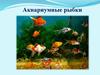 Аквариумные рыбки