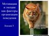 Мотивации и эмоции как факторы организации поведения. Лекция 5