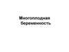 Многоплодная беременность
