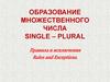 Образование множественного числа single – plural. Правила и исключения rules and exceptions