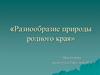 Разнообразие природы родного края