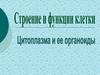 Строение и функции клетки. Цитоплазма и её органоиды