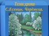 С. Есенин "Черёмуха"