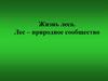 Жизнь леса. Лес – природное сообщество