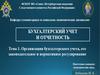 Организация бухгалтерского учета, его законодательное и нормативное регулирование