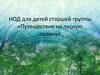 НОД для детей старшей группы «Путешествие на лесную поляну»
