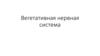 Вегетативная нервная система
