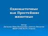 Одноклеточные или Простейшие животные
