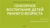 Сенсорное воспитание детей раннего возраста