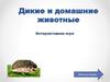 Дикие и домашние животные
