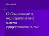 Собственные и нарицательные имена существительные
